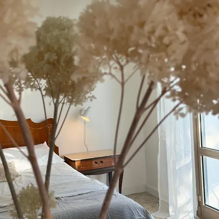 Cielo Apartment *