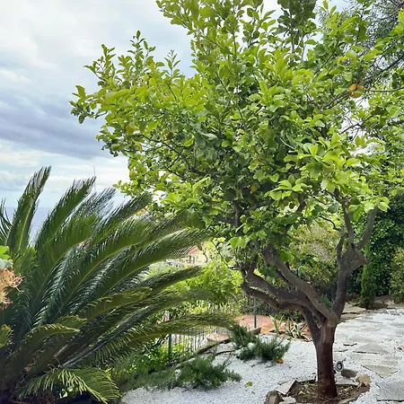 Διαμέρισμα Cielo *